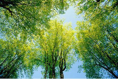 《最终幻想起源：天堂的陌生人》主机版本现已可抢先体验